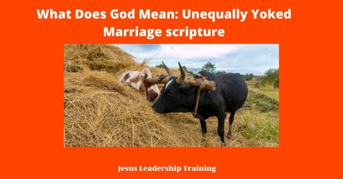 What Does God Mean: Unequally Yoked Marriage scripture