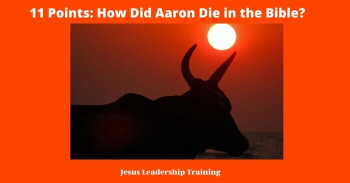 11 Points: How Did Aaron Die in the Bible?