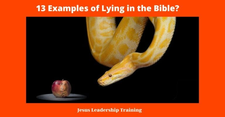 13 Examples of Lies in the Bible?