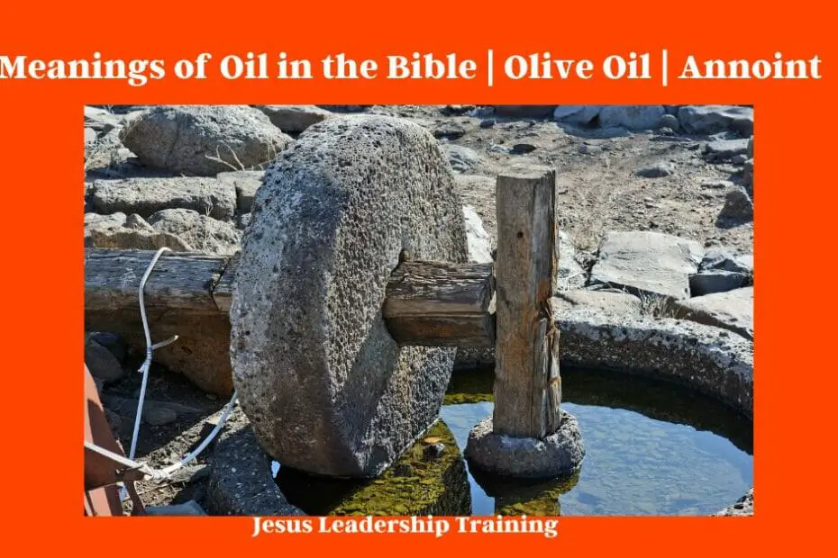 Meanings of Oil in the Bible | Olive Oil | Annoint