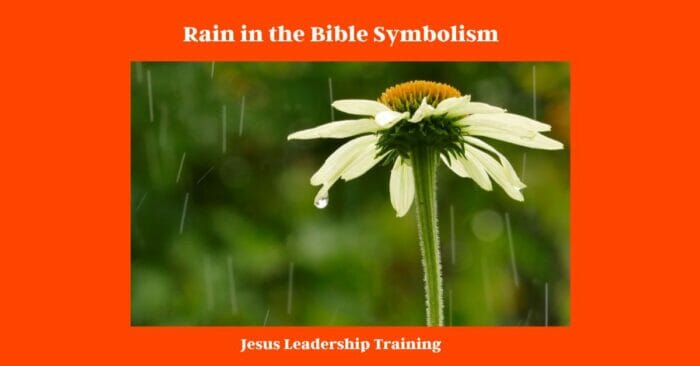 Rain in the Bible Symbolism