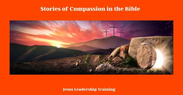 Stories of Compassion in the Bible 