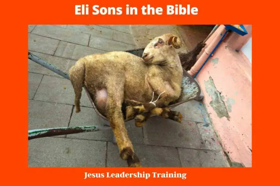 Eli Sons in the Bible - Eli's sons, Hophni and Phinehas, were wicked men who had no respect for God. They were selfish and only cared about themselves. They took the best of the sacrifices for themselves, and they did not care about the people who came to worship God. They treated the people badly, and they made life very difficult for Eli. But, in spite of all their wrong-doing, God continued to bless Eli's family. He blessed them with a student named Samuel, who would become a great prophet of God. And, he also blessed Eli with many years of life. Even though Eli's sons were wicked, God still showed him love and mercy.