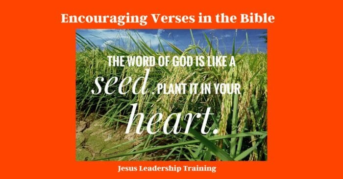 29 Purpose Filled Most Encouraging Verses in the Bible | Encourage | Bible Verses 3 The Bible is full of encouraging verses that can help us in our walk with the Lord. One of my favorites is Philippians 4:13, which says, "I can do all things through Christ who strengthens me." This verse is a great reminder that no matter what we are facing in life, we can trust that God will give us the strength we need to get through it. Another favorite verse is John 16:33, which says, "In this world you will have trouble. But take heart! I have overcome the world." This verse reminds us that even though this world can be full of challenges and difficulties, we can have hope because Jesus has already overcome everything. These are just two of the many encouraging verses that are found in the Bible. If you are ever feeling discouraged or struggling in your faith, be sure to turn to God's Word for encouragement and strength.