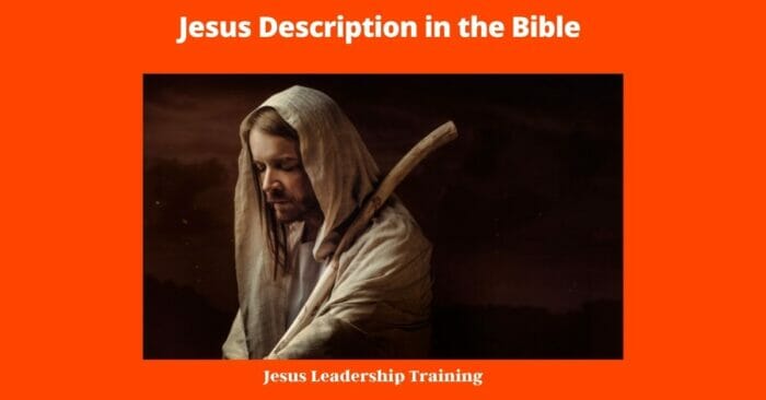 Jesus Description in the Bible -  Where do we get the description of Jesus as a shepherd?
Blog Introduction: I'm often asked about where we get the description of Jesus as a shepherd. The answer is simple: the Bible. In the New Testament, there are many passages that describe Jesus as a shepherd. Let's take a look at a few of them. 

"The sheep follow him because they know his voice." - John 10:4
"I am the good shepherd; I know my sheep and my sheep know me." - John 10:14 
"He calls his own sheep by name and leads them out." - John 10:3
These verses make it clear that Jesus is not only our shepherd but also our friend. He knows us by name and he leads us out into green pastures. 

But what does it mean to be a shepherd? In ancient times, shepherds were responsible for guiding their flock to safety. They would protect their sheep from predators and keep them from getting lost. In much the same way, Jesus protects us from danger and guides us to eternal life. 

Jesus is our Good Shepherd who knows us by name and leads us into eternal life. If you're ever feeling lost or alone, remember that Jesus is always with you, guiding you back to the safety of His flock.