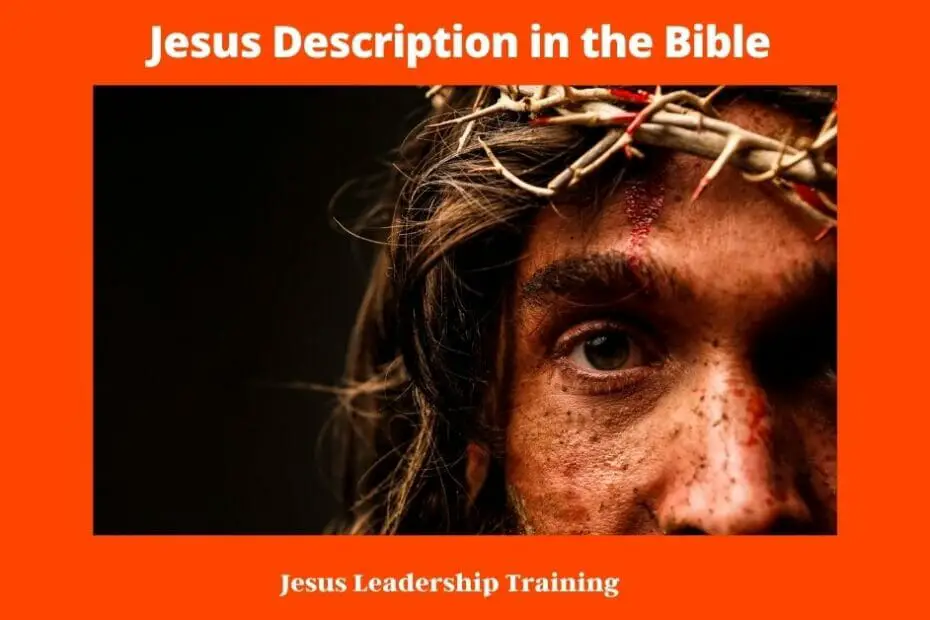 Jesus Description in the Bible - The description of Jesus in today's movies is often taken from the Bible. The Gospels of Matthew, Mark, Luke, and John provide a detailed account of his life and teachings. However, there are also some elements that are not found in the Bible. For example, many movies depict Jesus as a white man, even though he was probably born in the Middle East and had dark skin. Another common depiction is of him as a middle-aged man with long hair and a beard. In reality, we don't know what Jesus looked like, but this image has become iconic in popular culture. As we continue to learn more about the historical Jesus, our understanding of him will no doubt evolve. However, the Bible will remain an essential source of information about who he was and what he meant to those who followed him.