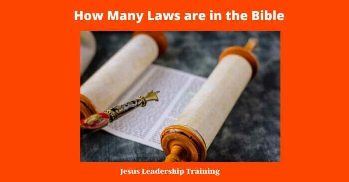 How Many Laws are in the Bible