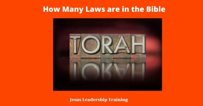 How Many Laws are in the Bible