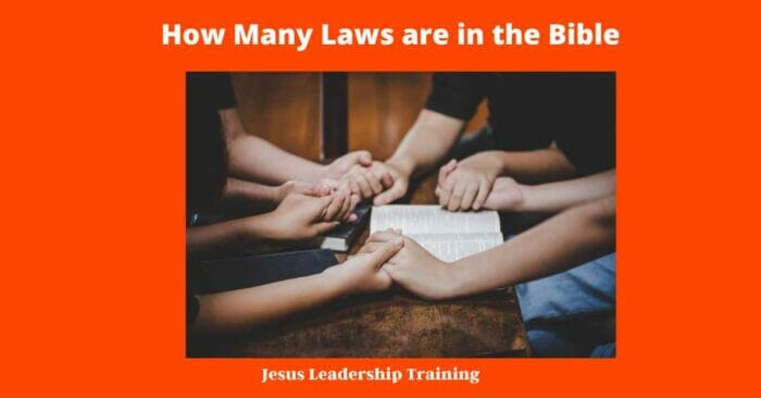 How Many Laws are in the Bible