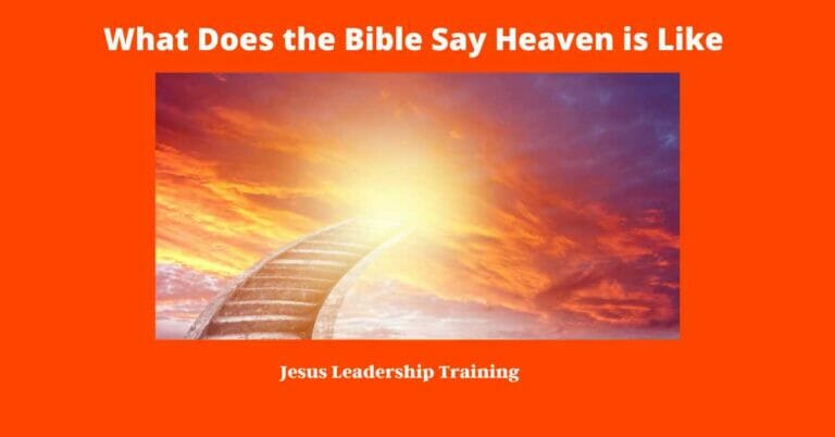 What Does the Bible Say Heaven is Like | Heaven | PDF
