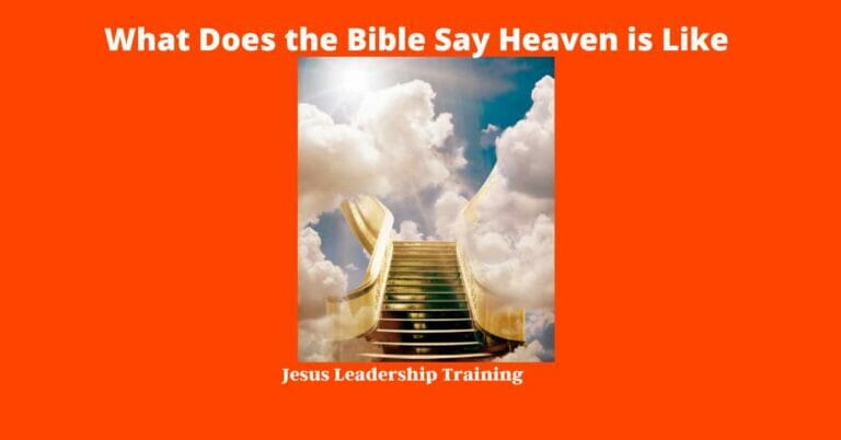 What Does the Bible Say Heaven is Like | Heaven | PDF