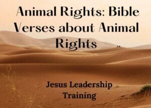 Animal Rights: Bible Verses about Animal Rights