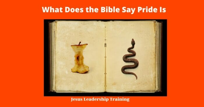 What Does the Bible Say Pride Is | Pride | Bibible Verses | PDF | Quiz 3 What Does the Bible Say Pride Is