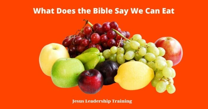 What Does the Bible Say We Can Eat | Eating | Bible Verses | PDF | Quiz 3 What Does the Bible Say We Can Eat