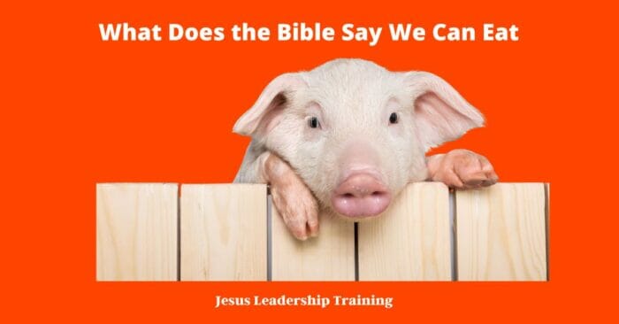 What Does the Bible Say We Can Eat | Eating | Bible Verses | PDF | Quiz 4 What Does the Bible Say We Can Eat