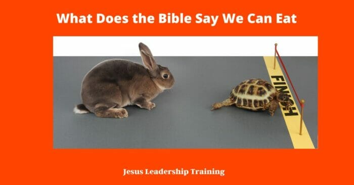 What Does the Bible Say We Can Eat | Eating | Bible Verses | PDF | Quiz 5 What Does the Bible Say We Can Eat
