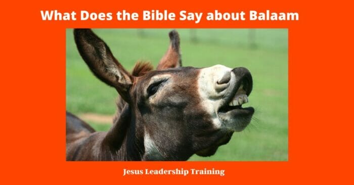 What Does the Bible Say about Babylon