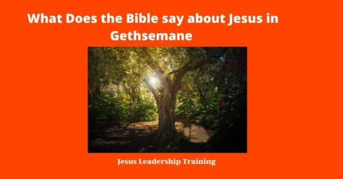 What Does the Bible say about Jesus in Gethsemane (