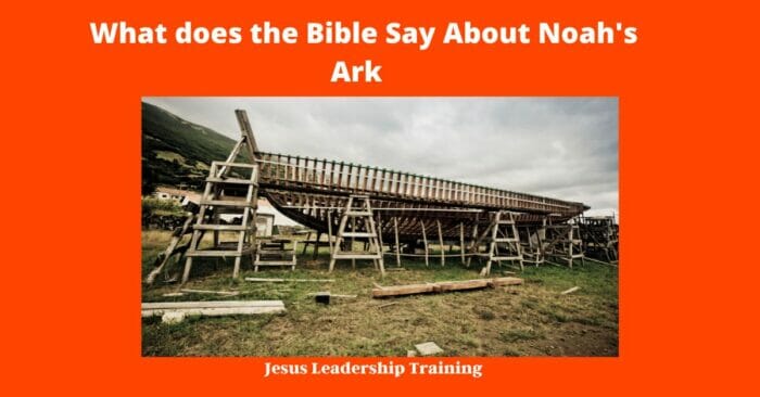 What does the Bible Say About Noah's Ark 