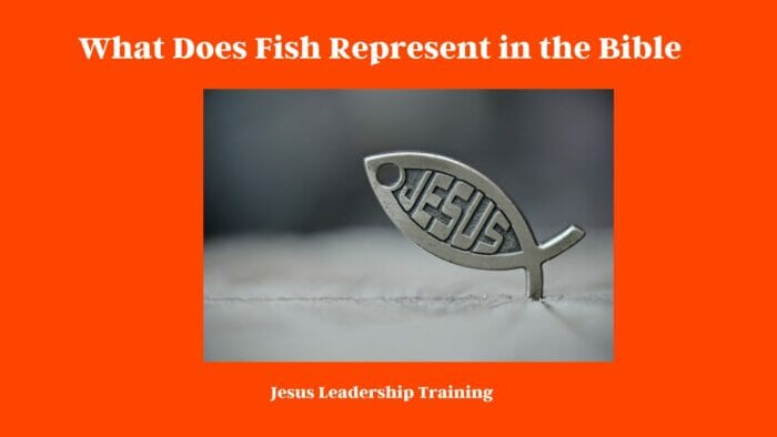 Fish Symbolism in the Bible (2024) 3 What Does Fish Represent in the Bible