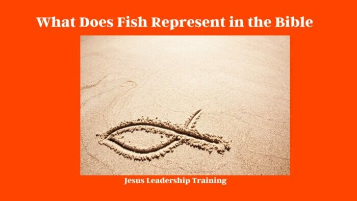 Fish Symbolism in the Bible (2024) 4 What Does Fish Represent in the Bible