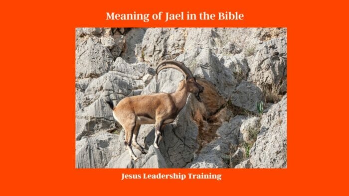 Who Was Jael in the Bible (2024) ????. 2 Meaning of Jael in the Bible