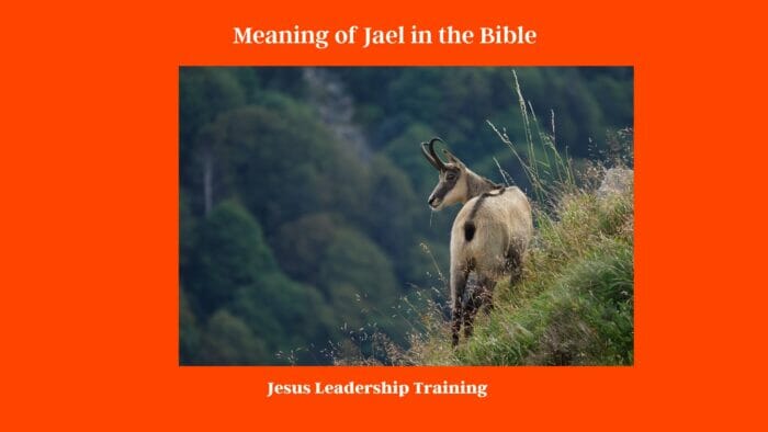 Who Was Jael in the Bible (2024) ????. 3 Meaning of Jael in the Bible