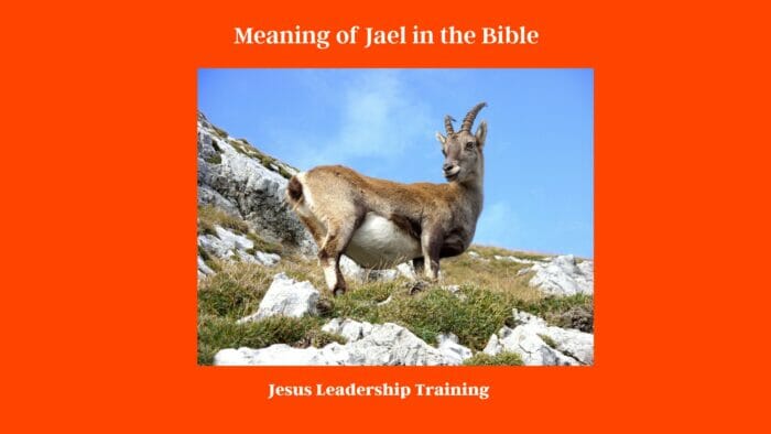 Who Was Jael in the Bible (2024) ????. 4 Meaning of Jael in the Bible