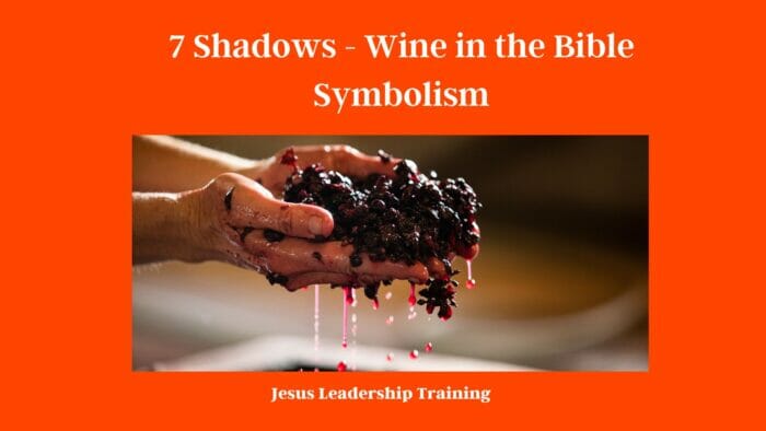 7 Shadows - Wine in the Bible Symbolism