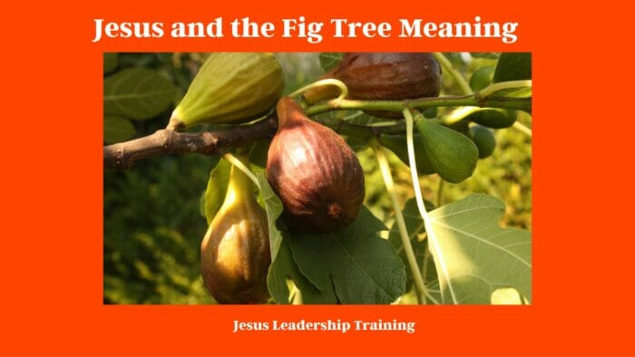 Jesus and the Fig Tree Meaning 