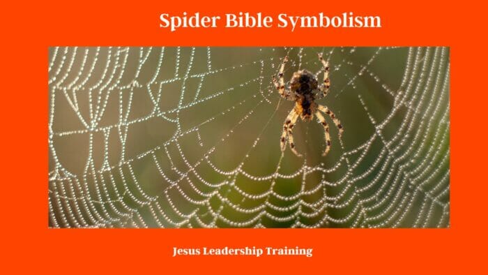 Spider Bible Symbolism: Unraveling the Mystical Web of Meaning 4 Spider Bible Symbolism