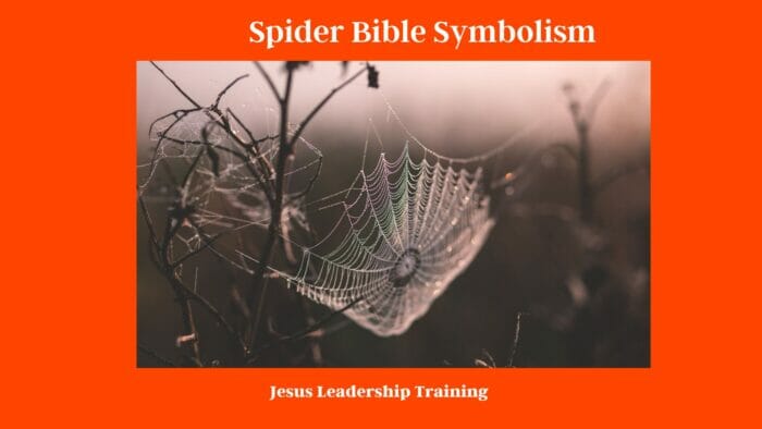 Spider Bible Symbolism: Unraveling the Mystical Web of Meaning 5 Spider Bible Symbolism