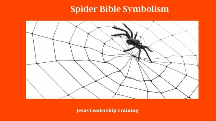 Spider Bible Symbolism: Unraveling the Mystical Web of Meaning 3 Spider Bible Symbolism